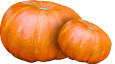 Aceite de canela